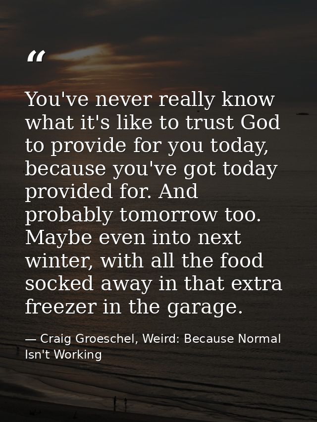 You've never really know what it's like to trust God to provide for you today, because you've got today provided for. An — Craig Groeschel, Weird: Because Normal Isn't Working