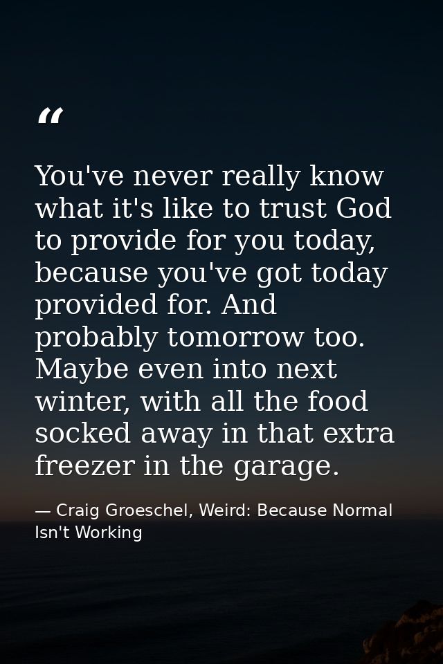 You've never really know what it's like to trust God to provide for you today, because you've got today provided for. An — Craig Groeschel, Weird: Because Normal Isn't Working