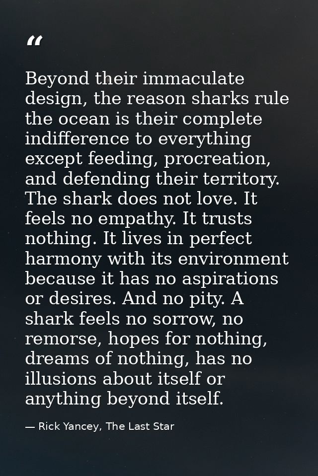 Beyond their immaculate design, the reason sharks rule the ocean is their complete indifference to everything except fee — Rick Yancey, The Last Star