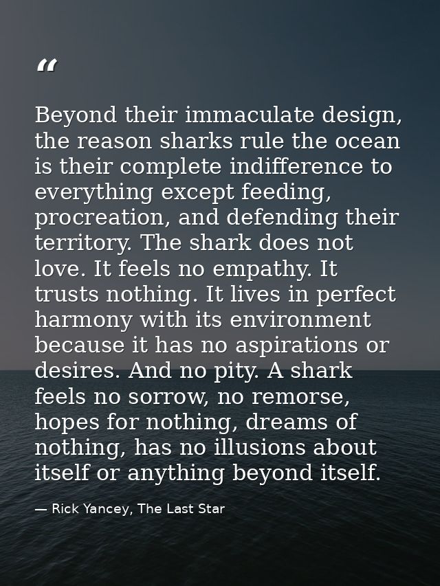 Beyond their immaculate design, the reason sharks rule the ocean is their complete indifference to everything except fee — Rick Yancey, The Last Star