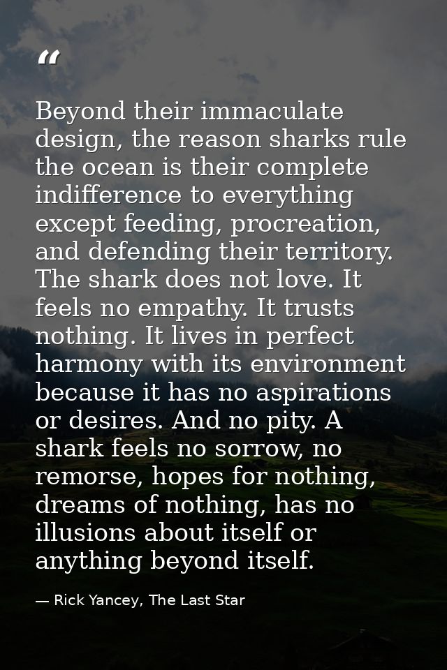 Beyond their immaculate design, the reason sharks rule the ocean is their complete indifference to everything except fee — Rick Yancey, The Last Star
