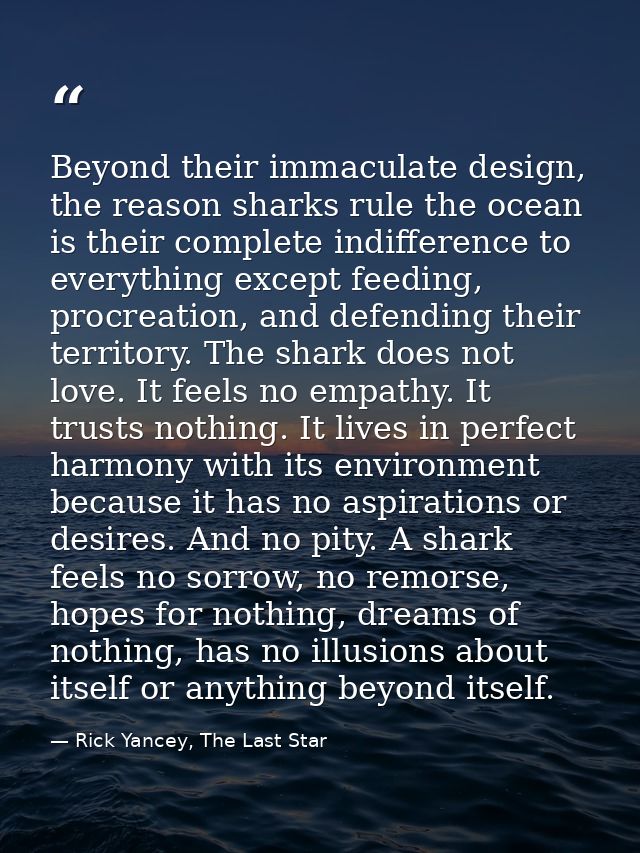 Beyond their immaculate design, the reason sharks rule the ocean is their complete indifference to everything except fee — Rick Yancey, The Last Star