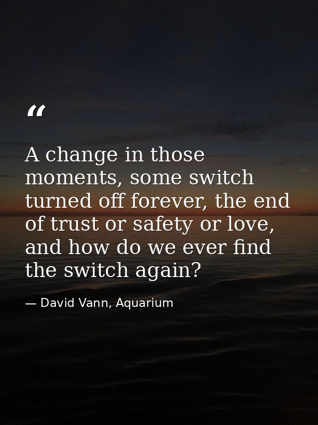 A change in those moments, some switch turned off forever, the end of trust or safety or love, and how do we ever find t — David Vann, Aquarium