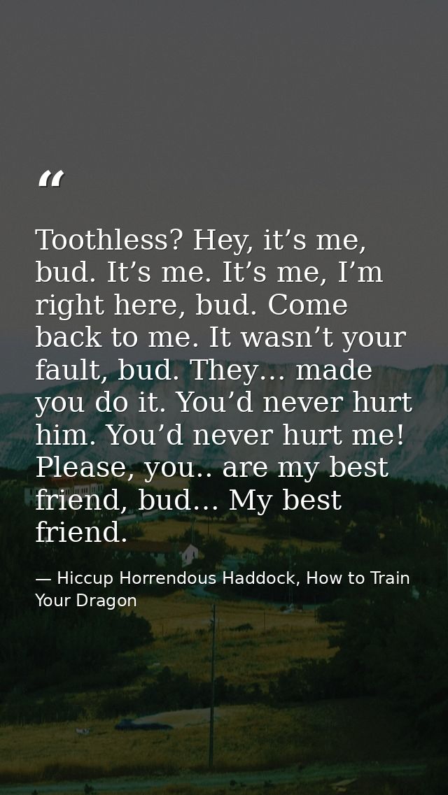 Toothless? Hey, it’s me, bud. It’s me. It’s me, I’m right here, bud. Come back to me. It wasn’t your fault, bud. They… m — Hiccup Horrendous Haddock, How to Train Your Dragon