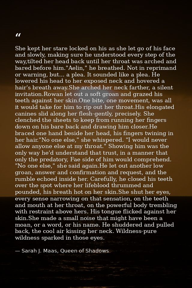 She kept her stare locked on his as she let go of his face and slowly, making sure he understood every step of the way,t — Sarah J. Maas, Queen of Shadows