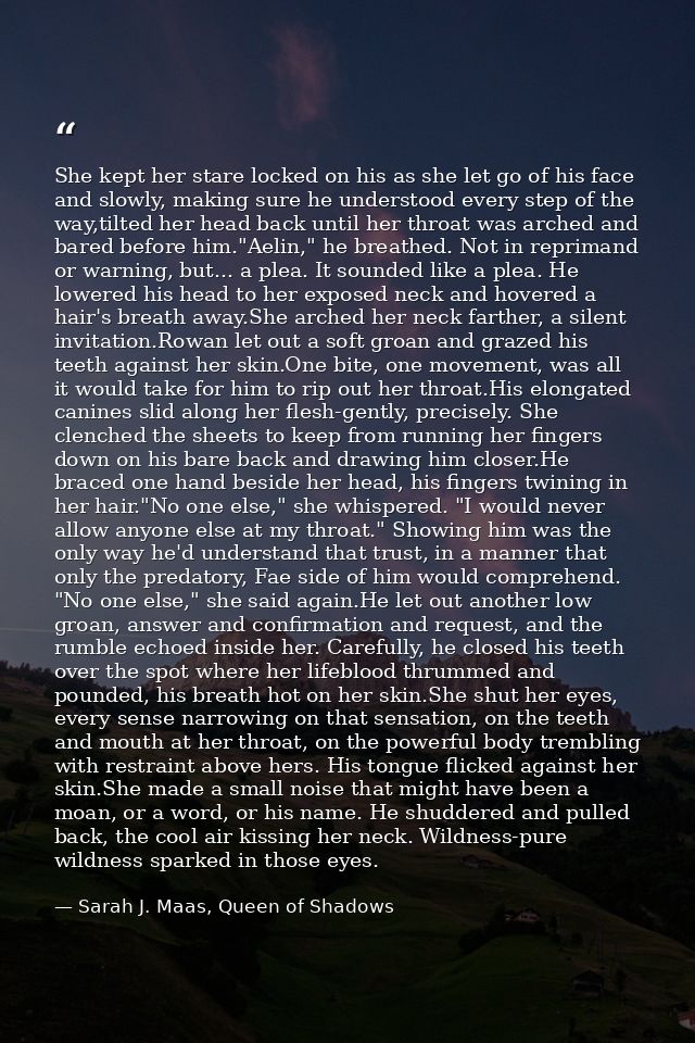 She kept her stare locked on his as she let go of his face and slowly, making sure he understood every step of the way,t — Sarah J. Maas, Queen of Shadows