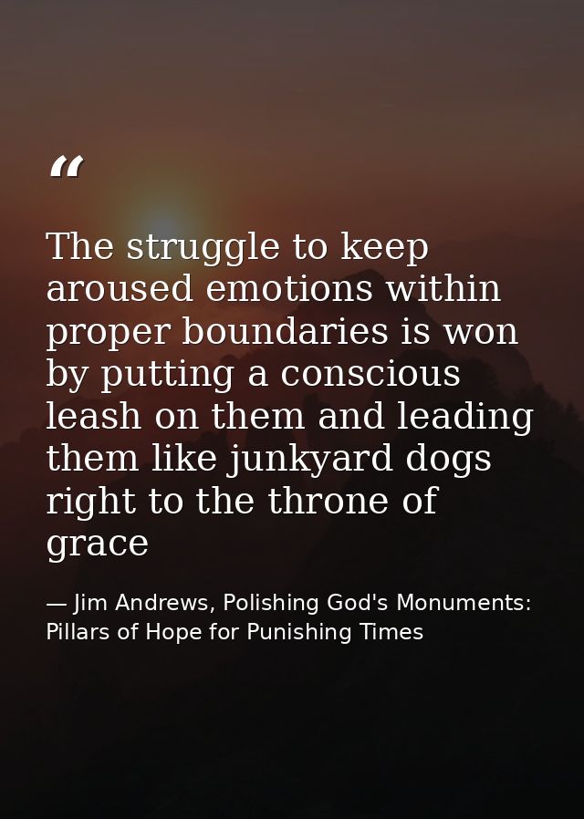 The struggle to keep aroused emotions within proper boundaries is won by putting a conscious leash on them and leading t — Jim Andrews, Polishing God's Monuments: Pillars of Hope for Punishing Times