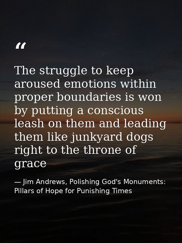The struggle to keep aroused emotions within proper boundaries is won by putting a conscious leash on them and leading t — Jim Andrews, Polishing God's Monuments: Pillars of Hope for Punishing Times
