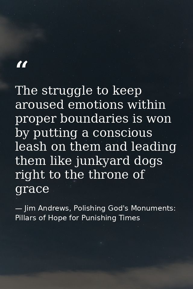 The struggle to keep aroused emotions within proper boundaries is won by putting a conscious leash on them and leading t — Jim Andrews, Polishing God's Monuments: Pillars of Hope for Punishing Times