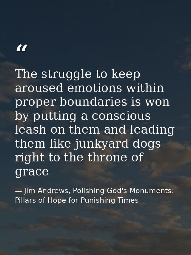 The struggle to keep aroused emotions within proper boundaries is won by putting a conscious leash on them and leading t — Jim Andrews, Polishing God's Monuments: Pillars of Hope for Punishing Times