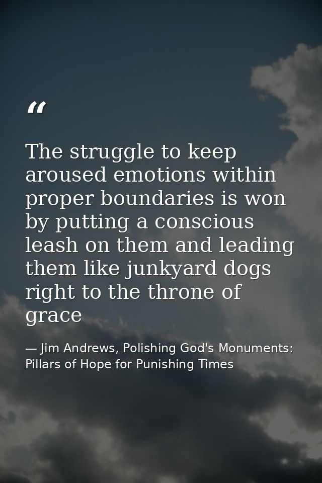 The struggle to keep aroused emotions within proper boundaries is won by putting a conscious leash on them and leading t — Jim Andrews, Polishing God's Monuments: Pillars of Hope for Punishing Times