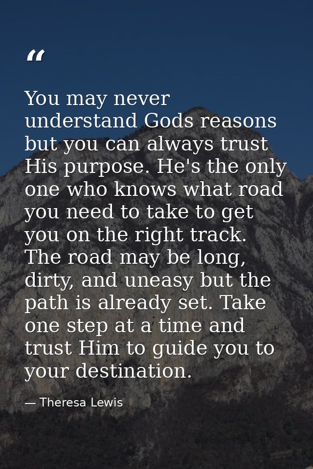 You may never understand Gods reasons but you can always trust His purpose. He's the only one who knows what road you ne — Theresa Lewis
