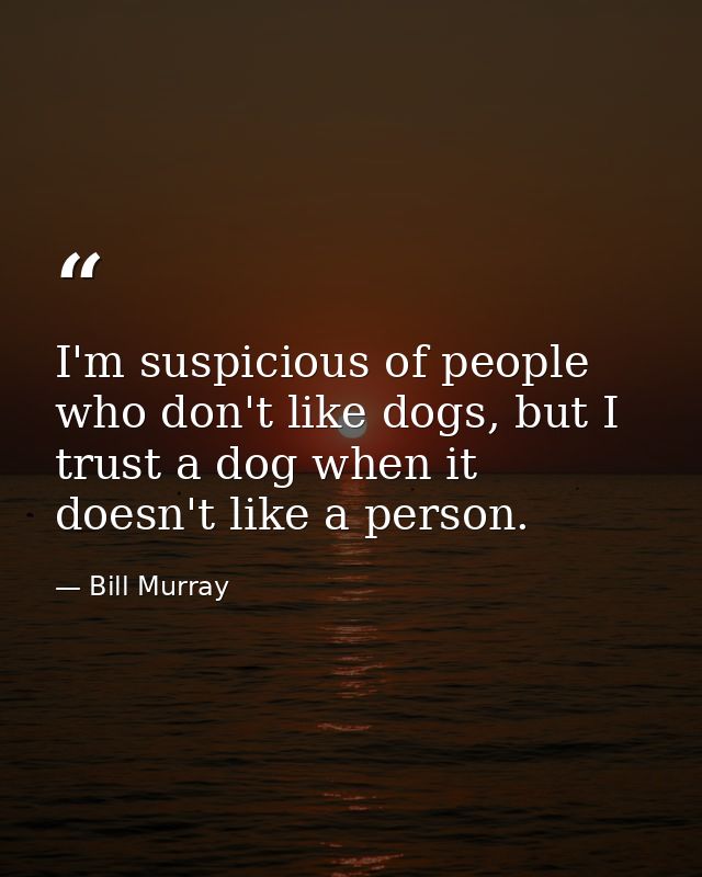 I'm suspicious of people who don't like dogs, but I trust a dog when it doesn't like a person. — Bill Murray