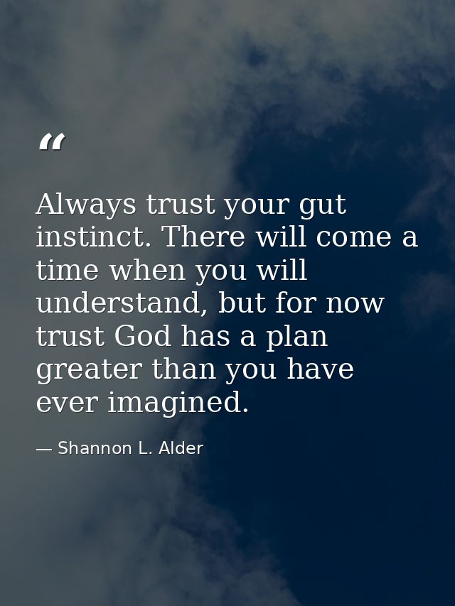 Always trust your gut instinct. There will come a time when you will understand, but for now trust God has a plan greate — Shannon L. Alder