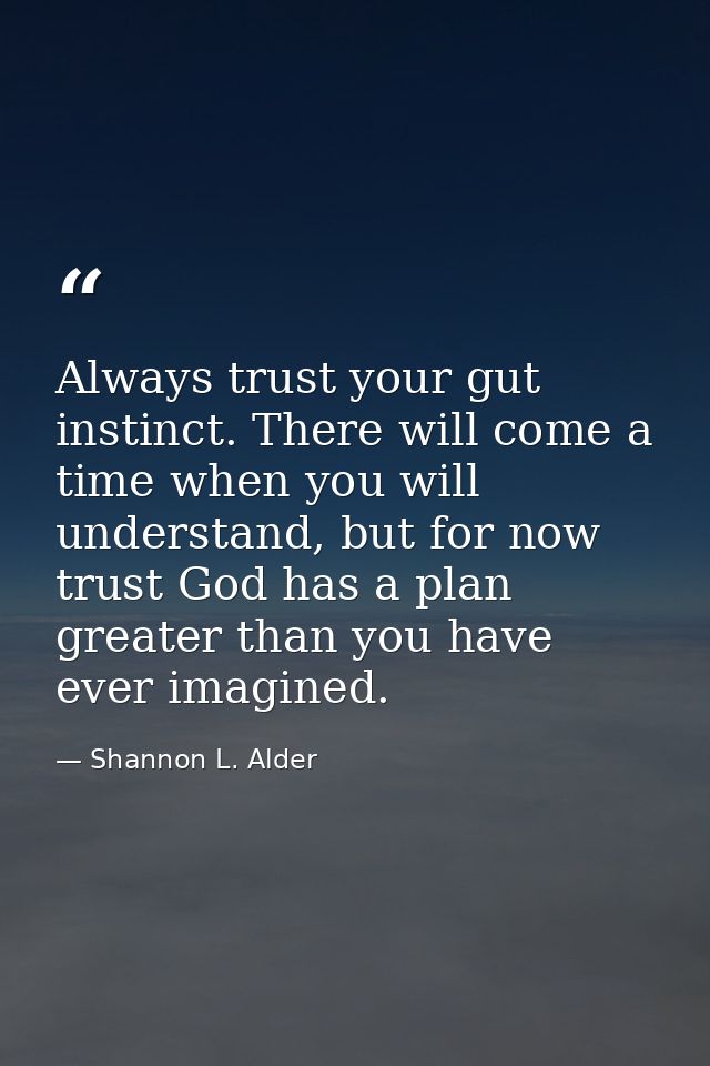 Always trust your gut instinct. There will come a time when you will understand, but for now trust God has a plan greate — Shannon L. Alder