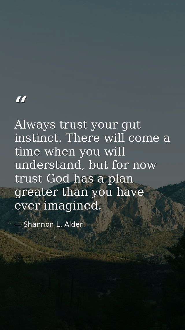 Always trust your gut instinct. There will come a time when you will understand, but for now trust God has a plan greate — Shannon L. Alder