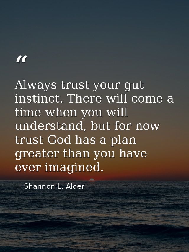 Always trust your gut instinct. There will come a time when you will understand, but for now trust God has a plan greate — Shannon L. Alder