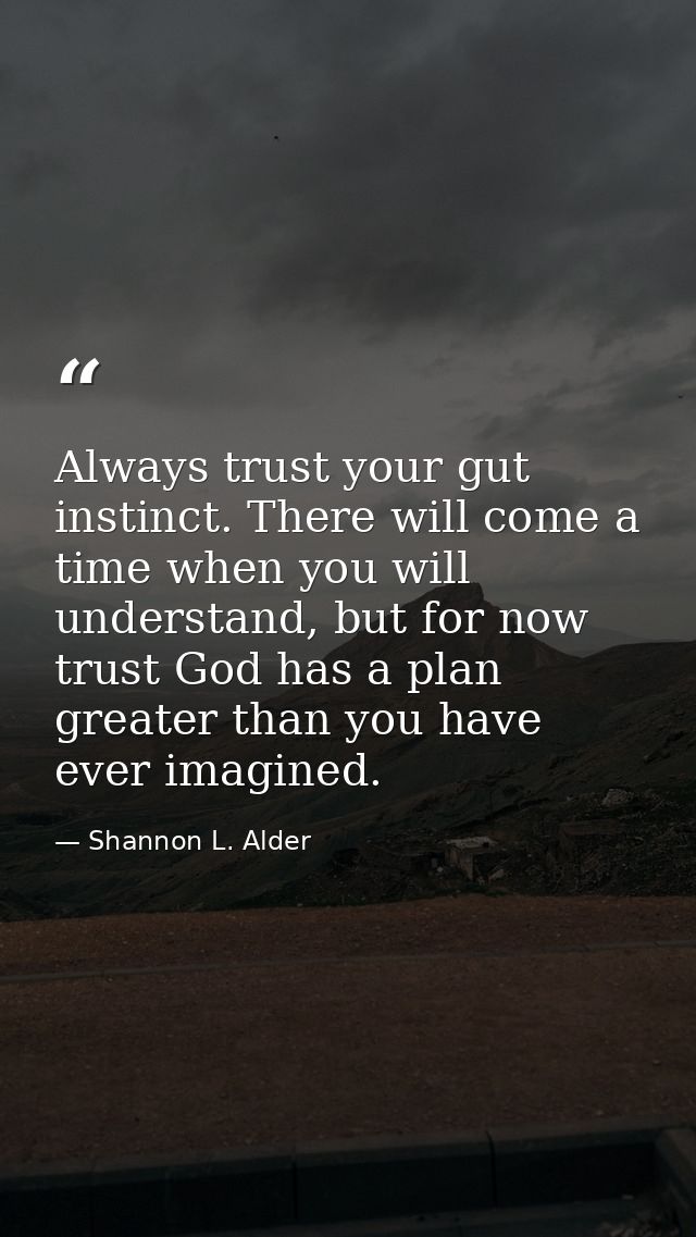 Always trust your gut instinct. There will come a time when you will understand, but for now trust God has a plan greate — Shannon L. Alder