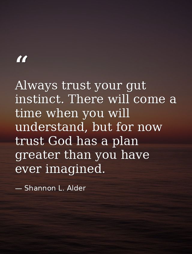 Always trust your gut instinct. There will come a time when you will understand, but for now trust God has a plan greate — Shannon L. Alder