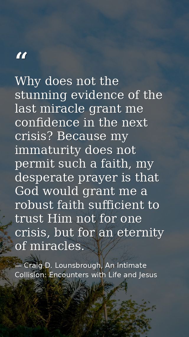 Why does not the stunning evidence of the last miracle grant me confidence in the next crisis? Because my immaturity doe — Craig D. Lounsbrough, An Intimate Collision: Encounters with Life and Jesus