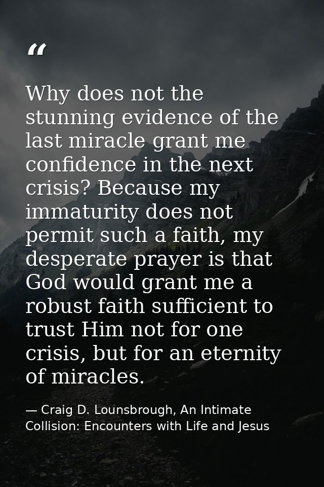 Why does not the stunning evidence of the last miracle grant me confidence in the next crisis? Because my immaturity doe — Craig D. Lounsbrough, An Intimate Collision: Encounters with Life and Jesus