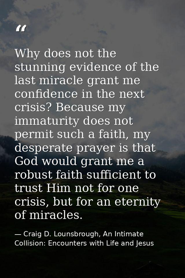 Why does not the stunning evidence of the last miracle grant me confidence in the next crisis? Because my immaturity doe — Craig D. Lounsbrough, An Intimate Collision: Encounters with Life and Jesus