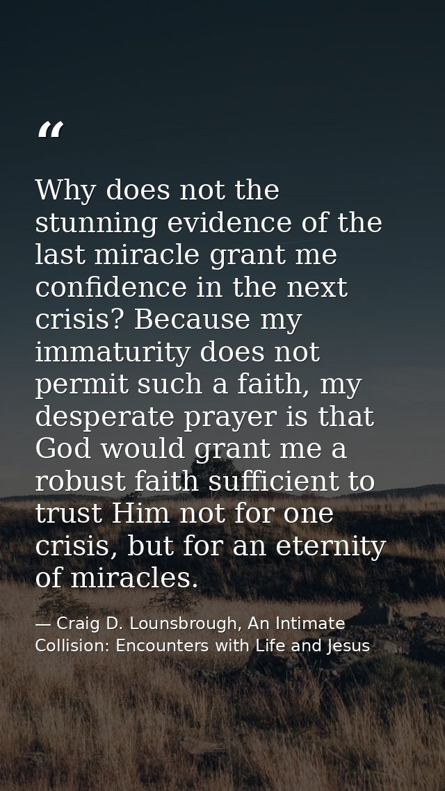 Why does not the stunning evidence of the last miracle grant me confidence in the next crisis? Because my immaturity doe — Craig D. Lounsbrough, An Intimate Collision: Encounters with Life and Jesus