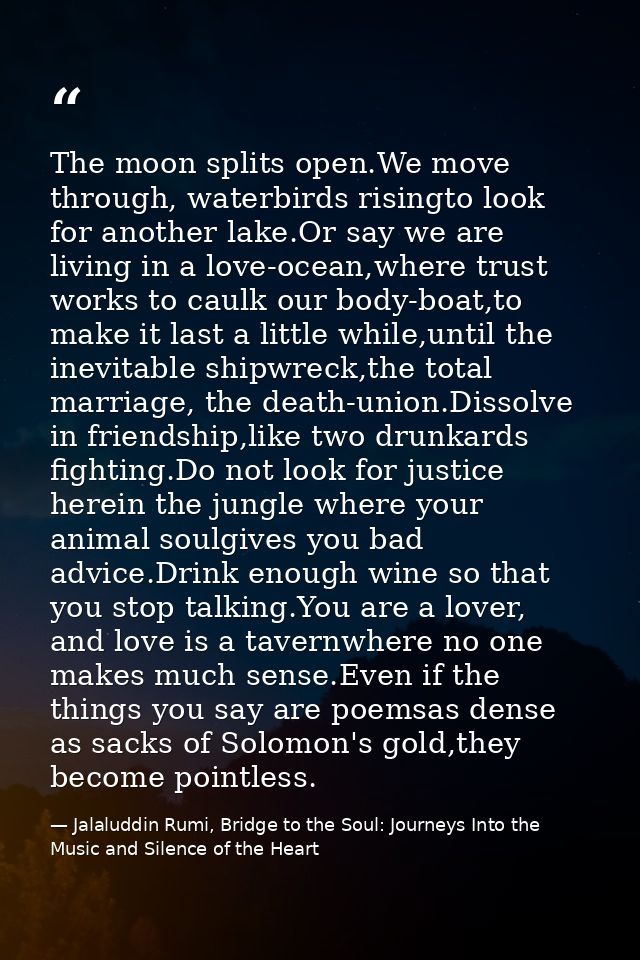 The moon splits open.We move through, waterbirds risingto look for another lake.Or say we are living in a love-ocean,whe — Jalaluddin Rumi, Bridge to the Soul: Journeys Into the Music and Silence of the Heart
