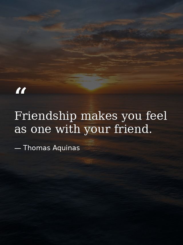 Friendship makes you feel as one with your friend. — Thomas Aquinas
