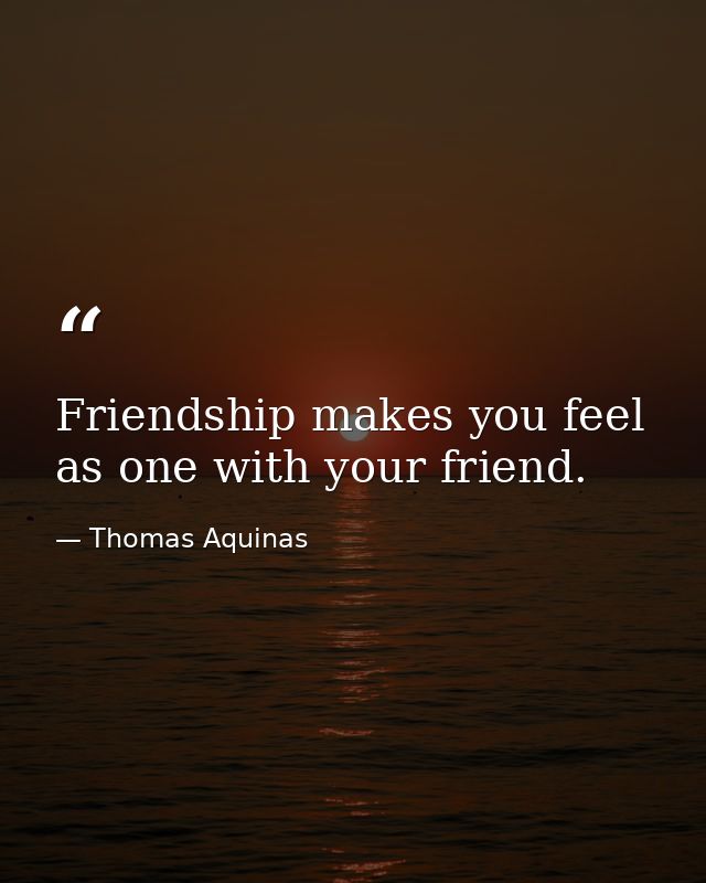 Friendship makes you feel as one with your friend. — Thomas Aquinas