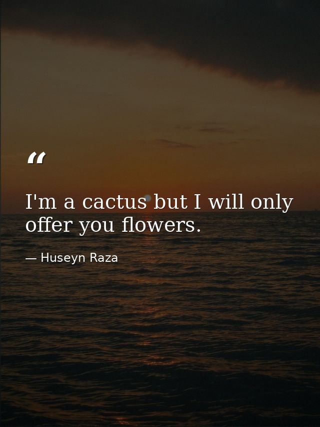 I'm a cactus but I will only offer you flowers. — Huseyn Raza