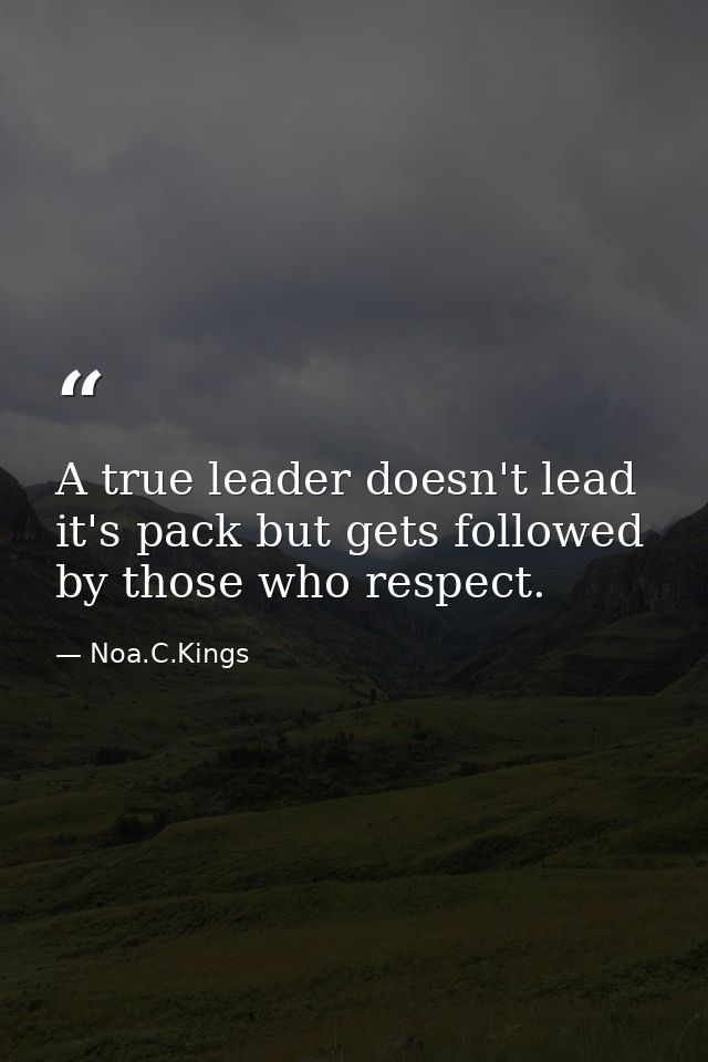 A true leader doesn't lead it's pack but gets followed by those who respect. — Noa.C.Kings