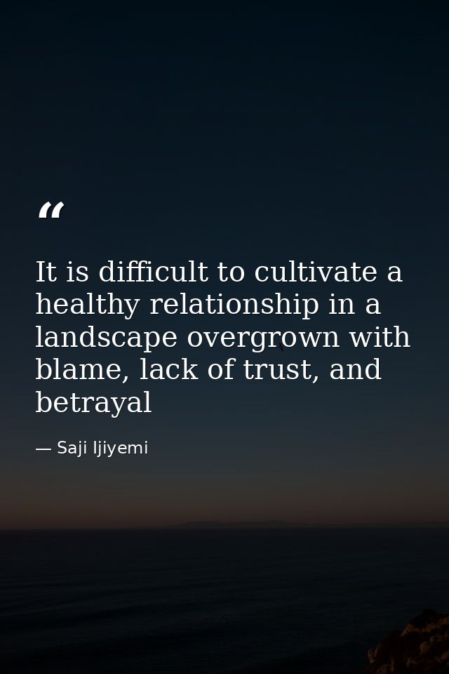 It is difficult to cultivate a healthy relationship in a landscape overgrown with blame, lack of trust, and betrayal — Saji Ijiyemi