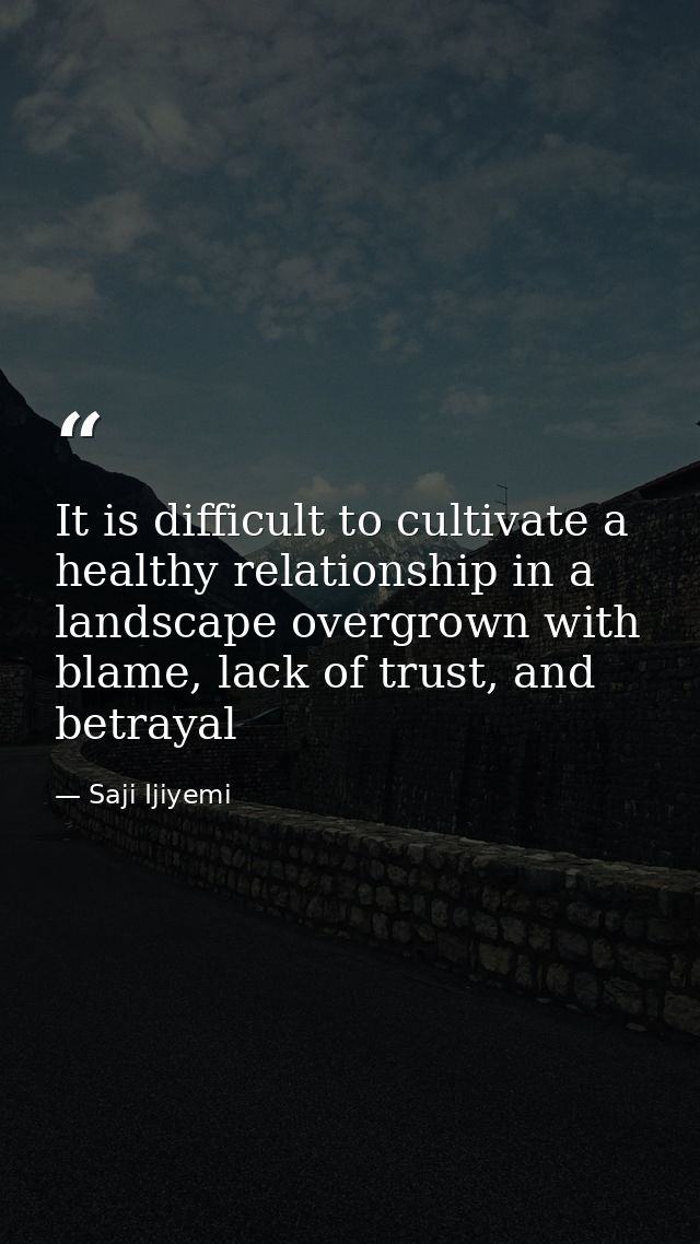 It is difficult to cultivate a healthy relationship in a landscape overgrown with blame, lack of trust, and betrayal — Saji Ijiyemi