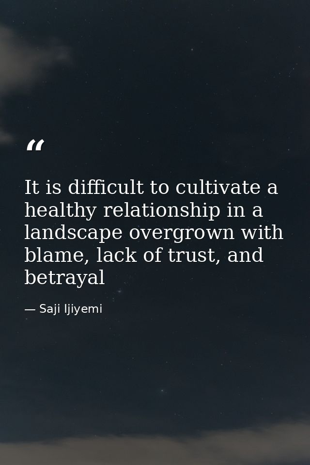 It is difficult to cultivate a healthy relationship in a landscape overgrown with blame, lack of trust, and betrayal — Saji Ijiyemi