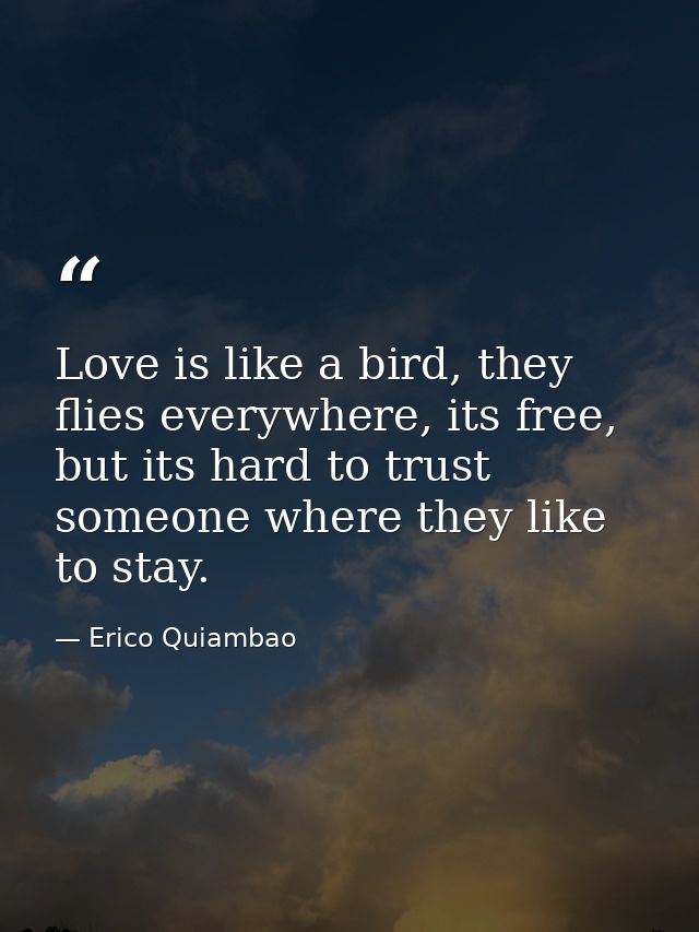 Love is like a bird, they flies everywhere, its free, but its hard to trust someone where they like to stay. — Erico Quiambao
