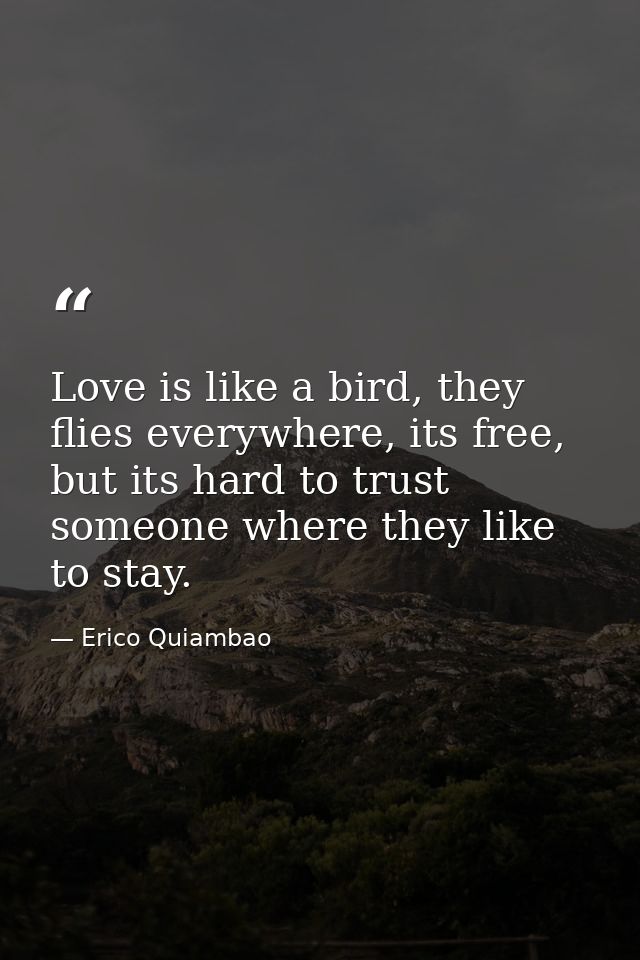 Love is like a bird, they flies everywhere, its free, but its hard to trust someone where they like to stay. — Erico Quiambao