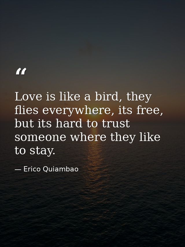 Love is like a bird, they flies everywhere, its free, but its hard to trust someone where they like to stay. — Erico Quiambao