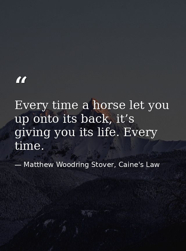 Every time a horse let you up onto its back, it’s giving you its life. Every time. — Matthew Woodring Stover, Caine's Law