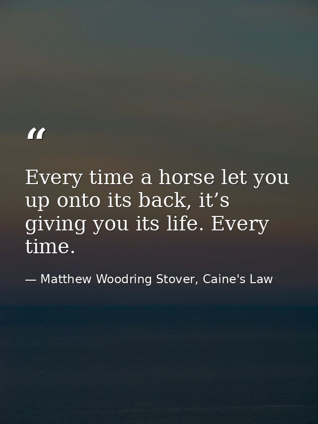 Every time a horse let you up onto its back, it’s giving you its life. Every time. — Matthew Woodring Stover, Caine's Law