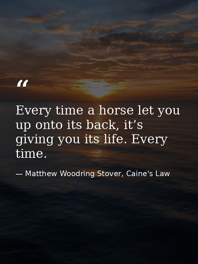 Every time a horse let you up onto its back, it’s giving you its life. Every time. — Matthew Woodring Stover, Caine's Law