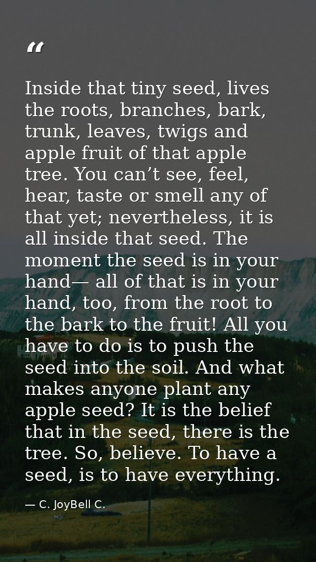 Inside that tiny seed, lives the roots, branches, bark, trunk, leaves, twigs and apple fruit of that apple tree. You can — C. JoyBell C.