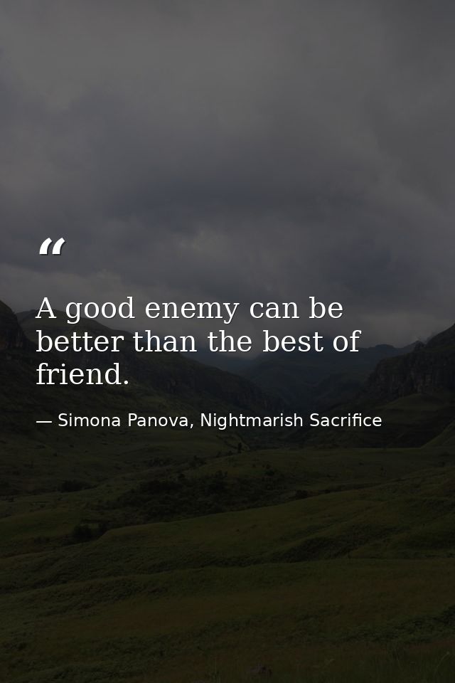 A good enemy can be better than the best of friend. — Simona Panova, Nightmarish Sacrifice