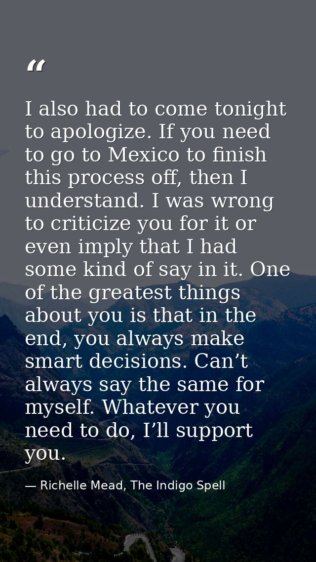 I also had to come tonight to apologize. If you need to go to Mexico to finish this process off, then I understand. I wa — Richelle Mead, The Indigo Spell