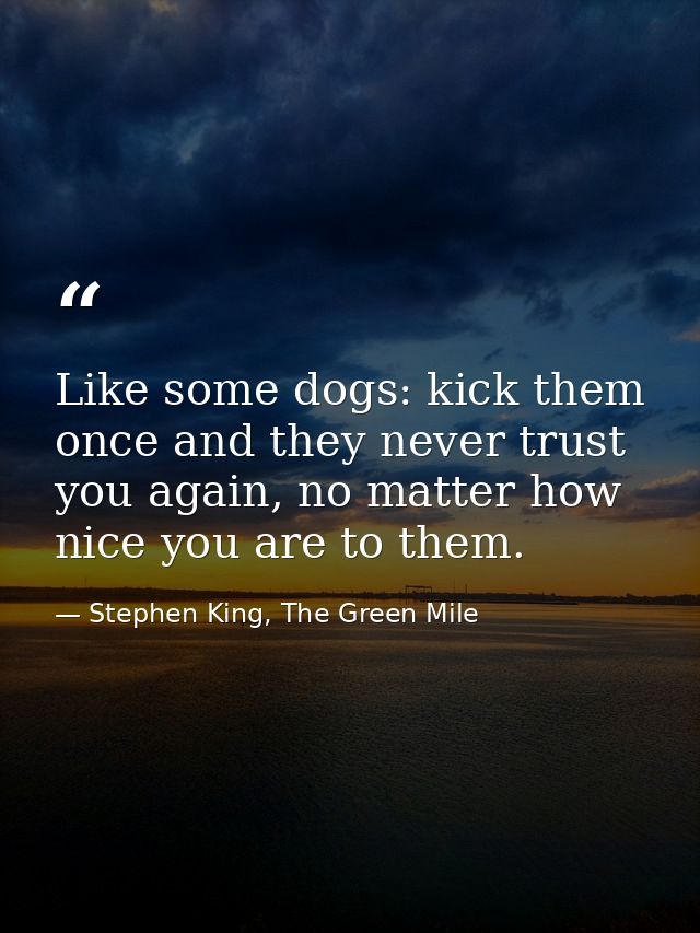 Like some dogs: kick them once and they never trust you again, no matter how nice you are to them. — Stephen King, The Green Mile