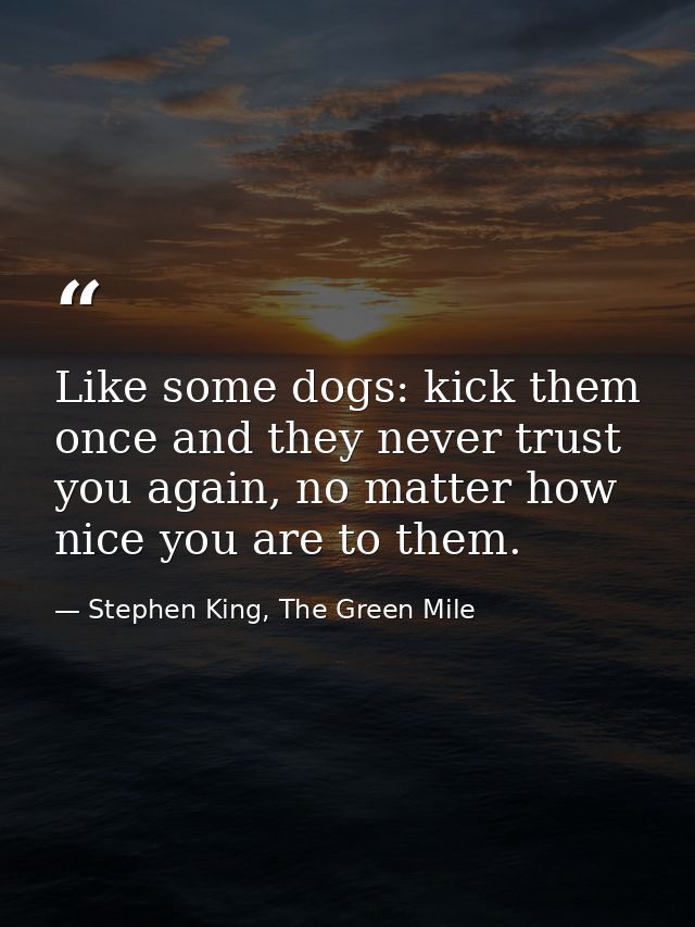 Like some dogs: kick them once and they never trust you again, no matter how nice you are to them. — Stephen King, The Green Mile
