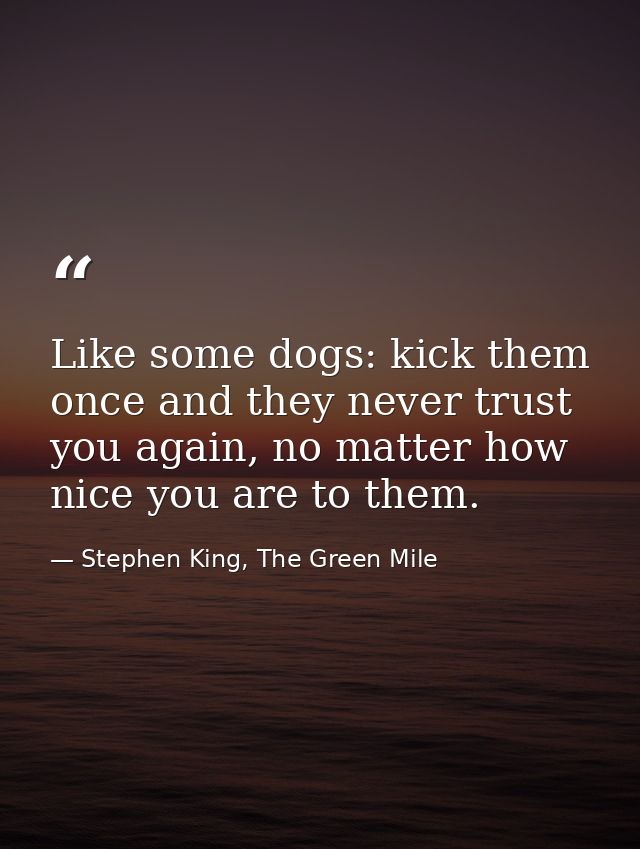 Like some dogs: kick them once and they never trust you again, no matter how nice you are to them. — Stephen King, The Green Mile