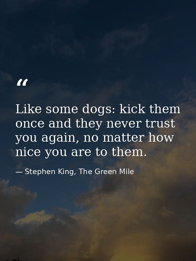 Like some dogs: kick them once and they never trust you again, no matter how nice you are to them. — Stephen King, The Green Mile