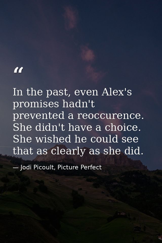 In the past, even Alex's promises hadn't prevented a reoccurence. She didn't have a choice. She wished he could see that — Jodi Picoult, Picture Perfect