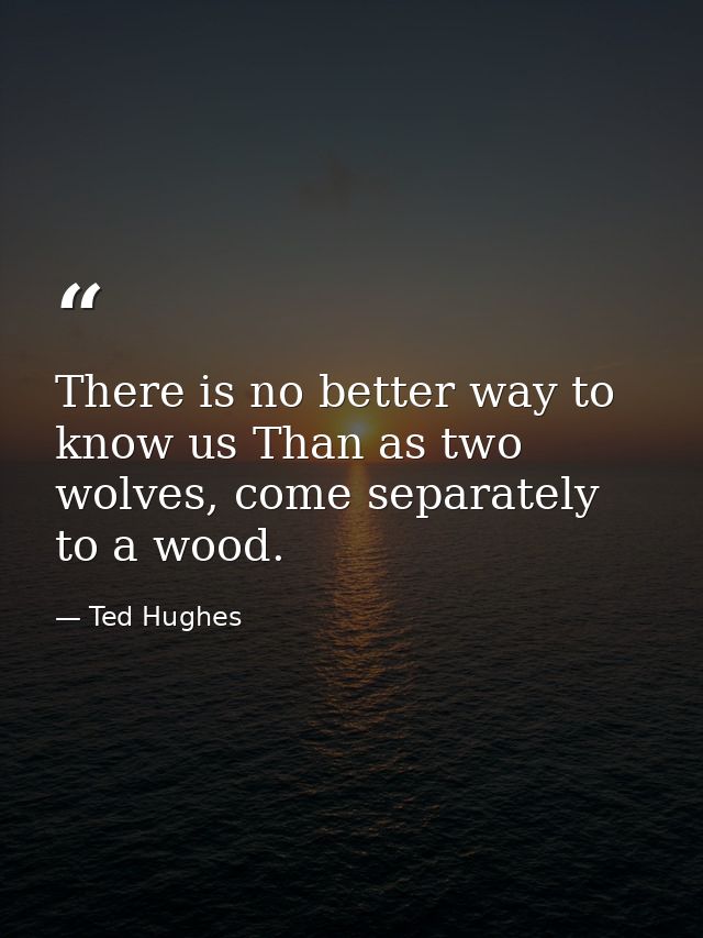 There is no better way to know us Than as two wolves, come separately to a wood. — Ted Hughes